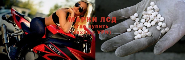 ГАЛЛЮЦИНОГЕННЫЕ ГРИБЫ Надым