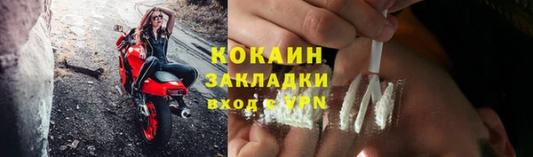 прущие грибы Наволоки
