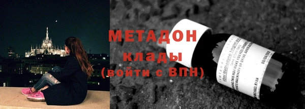 прущие грибы Наволоки