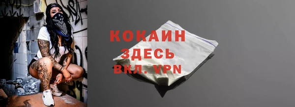 прущие грибы Наволоки