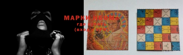 прущие грибы Наволоки