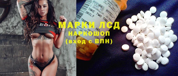 ГАЛЛЮЦИНОГЕННЫЕ ГРИБЫ Надым