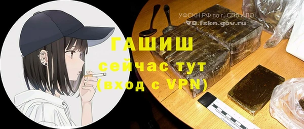 прущие грибы Наволоки