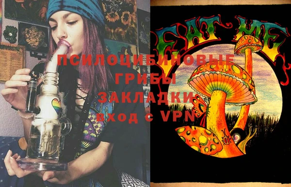 прущие грибы Наволоки