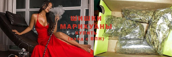 ГАЛЛЮЦИНОГЕННЫЕ ГРИБЫ Надым