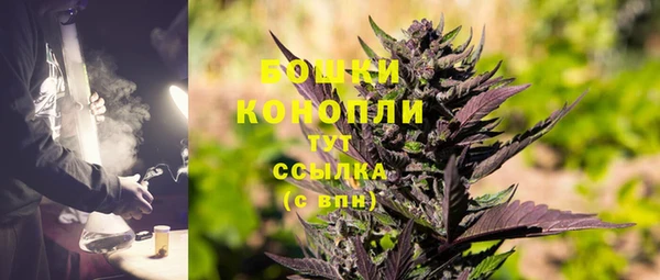 ГАЛЛЮЦИНОГЕННЫЕ ГРИБЫ Надым