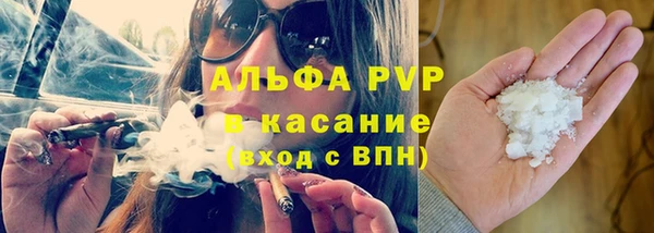 ГАЛЛЮЦИНОГЕННЫЕ ГРИБЫ Надым