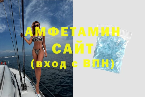 прущие грибы Наволоки