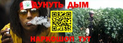индика Шахты