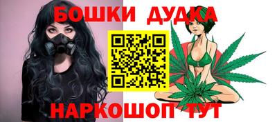 индика Шахты