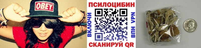 закладка  kraken рабочий сайт  Псилоцибиновые грибы Magic Shrooms  Саратов 